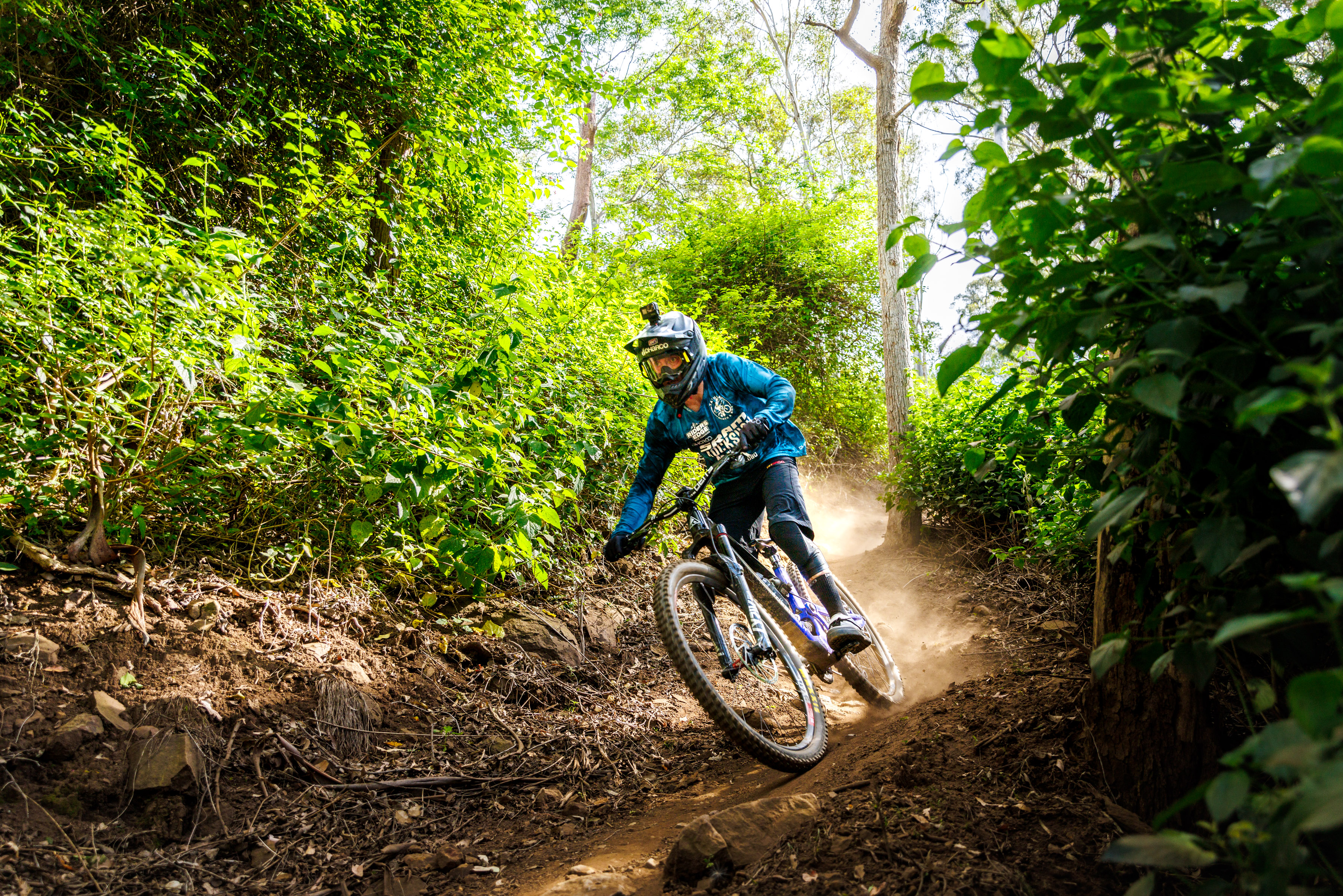 Enduro mountain bike rider in a blue jersey cornering on a narrow dirt trail at GreenValleys, kicking up dust amid dense green vegetation.
